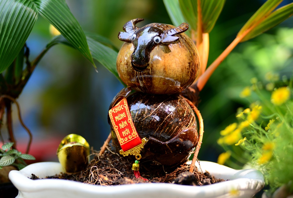 Bonsai dừa hình trâu.jpg Bonsai dừa hình trâu.jpg
