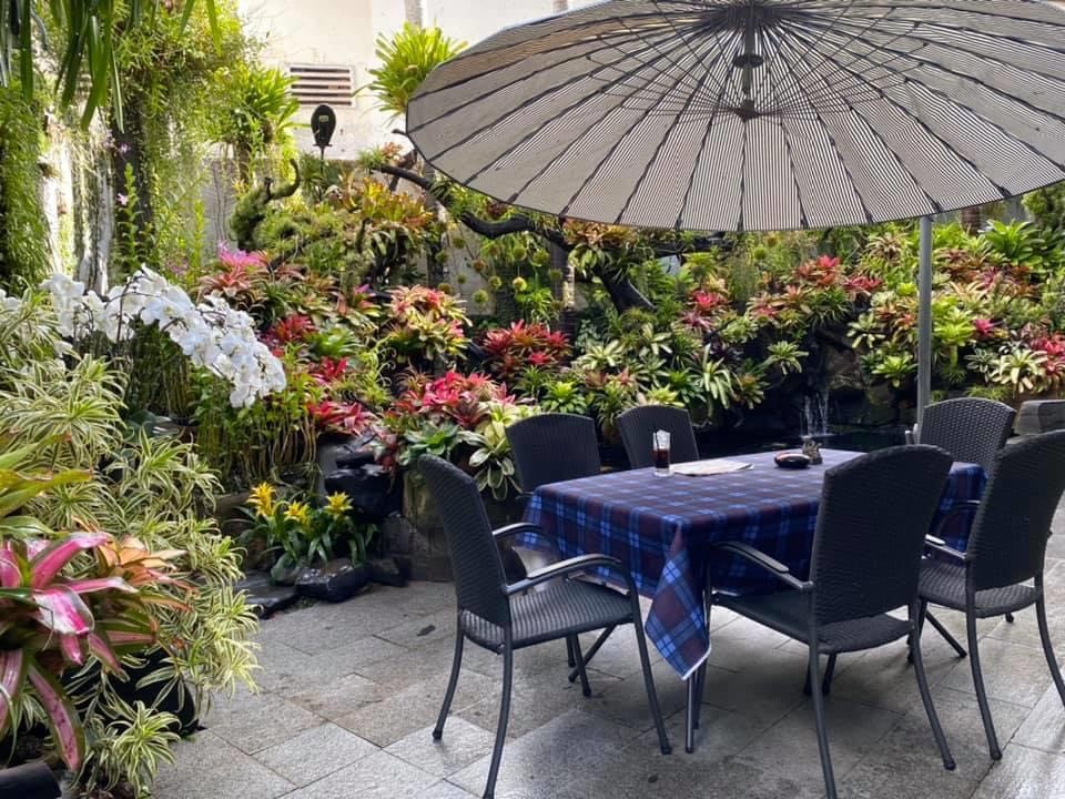 Mê mẩn khu vườn tiên cảnh rộng 300m2 toàn cây đắt đỏ của mẹ đảm ở Cần Thơ - 9 Mê mẩn khu vườn tiên cảnh rộng 300m2 toàn cây đắt đỏ của mẹ đảm ở Cần Thơ - 9