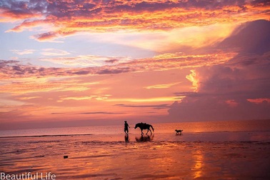 Đón ánh mặt trời rực rỡ trên biển Hải Tiến