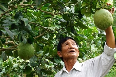 Thạc sĩ luật tuổi 70 tự bạch