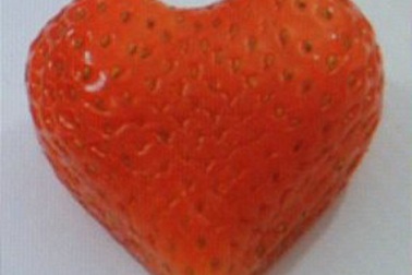 Quả dâu tây tình yêu