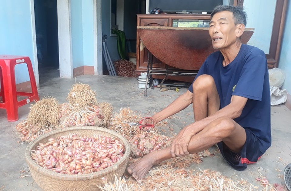Nông dân sốc vì hành củ rớt giá kỷ lục từ 60.000 đồng còn 5.000 đồng - 1 Nông dân sốc vì hành củ rớt giá kỷ lục từ 60.000 đồng còn 5.000 đồng - 1