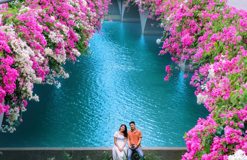 Cây cầu hoa giấy “cực phẩm” ở Ecopark, check-in sương sương cũng đủ gây “bão” mạng - 12