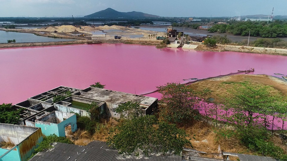 Đầm nước ở Bà Rịa - Vũng Tàu chuyển màu hồng tím và sự thật phía sau - 1 Đầm nước ở Bà Rịa - Vũng Tàu chuyển màu hồng tím và sự thật phía sau - 1