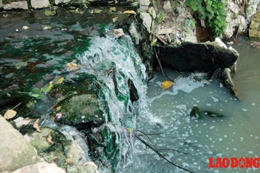 Ô nhiễm vô địch: sông Nhuệ, sông Đáy độc đến độ không thể tưới rau