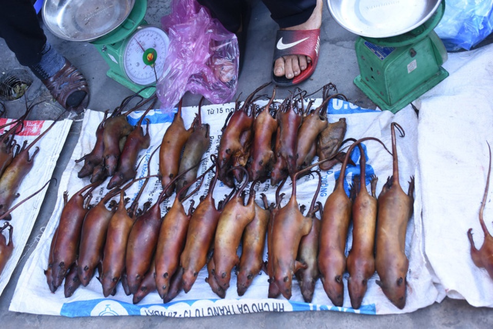 Làng bắt chuột Hải Dương vào mùa đắt hàng - 3 Làng bắt chuột Hải Dương vào mùa đắt hàng - 3