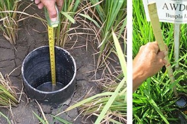 Việt Nam nỗ lực giảm phát thải khí nhà kính trong nông nghiệp