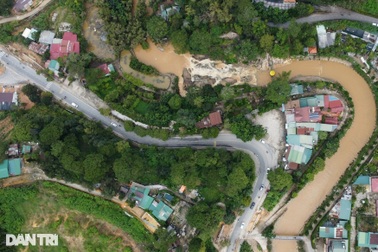 Tuyến đường Đà Lạt đề xuất chặt 108 cây thông ba lá