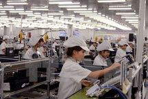 Lao động trong hội nhập: Thừa số lượng, thiếu chất lượng