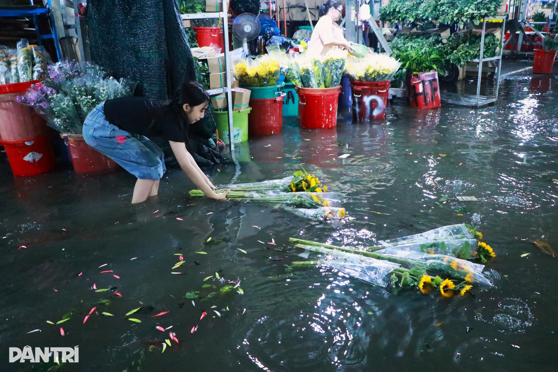 Tiểu thương chợ nông sản lớn nhất TPHCM oằn mình chống chọi triều cường - 1 Tiểu thương chợ nông sản lớn nhất TPHCM oằn mình chống chọi triều cường - 1