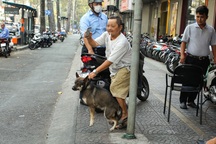 Hộ nuôi 6 con chó ở TPHCM phản ứng khi lực lượng chức năng đến