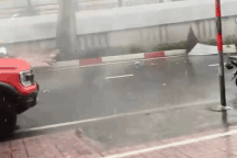 Nhân chứng kể phút tôn bay như "máy chém", vút qua cô gái trong dông lốc