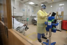 Giới khoa học kinh ngạc trước 13 đột biến ngược quy luật của Omicron