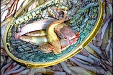 Trung Quốc phản ứng Mỹ 