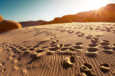 Thay đổi lượng mưa có thể giải thích sự mở rộng của nhân loại ra khỏi châu Phi