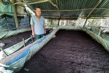 Mô hình sản xuất khép kín mỗi năm "bỏ túi" vài trăm triệu đồng của cựu binh