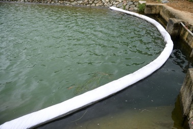 Kết quả mới nhất về chất lượng nước sông Đà