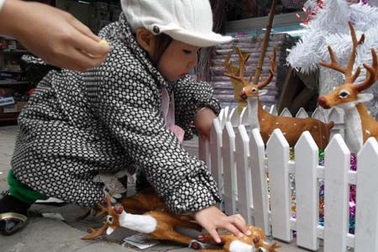 Miền Bắc đón Noel trong rét đậm