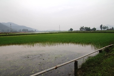 Mưa bất thường do ô nhiễm môi trường