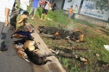 Người dân đánh bất tỉnh, thiêu rụi xe của 2 nghi can trộm chó