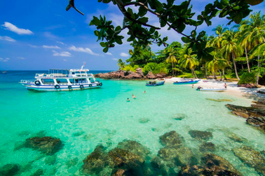 Phóng viên đưa tin thượng đỉnh Mỹ - Triều được du lịch miễn phí ở Việt Nam