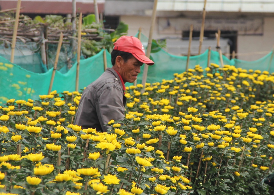 Nghề bốc vác hoa Tết: Covid-19 khiến cả buổi làm không đủ tiền cà phê - 1 Nghề bốc vác hoa Tết: Covid-19 khiến cả buổi làm không đủ tiền cà phê - 1
