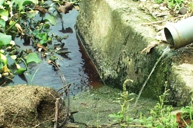 Phát hiện 2 cơ sở kinh doanh ăn uống xả thải trực tiếp xuống sông