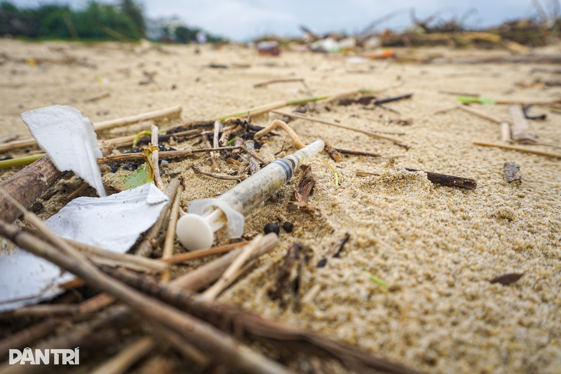 Hình ảnh bờ biển Đà Nẵng khác lạ sau mưa lũ - 9