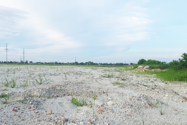 Doanh nghiệp "cuống cuồng" san lấp hàng chục nghìn m2 đất lúa