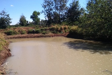 Hai học sinh tiểu học tử nạn dưới hồ tưới cà phê