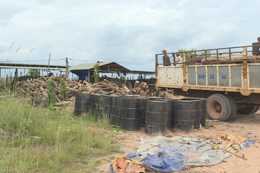 Lò than không phép tập kết lượng gỗ lậu lớn