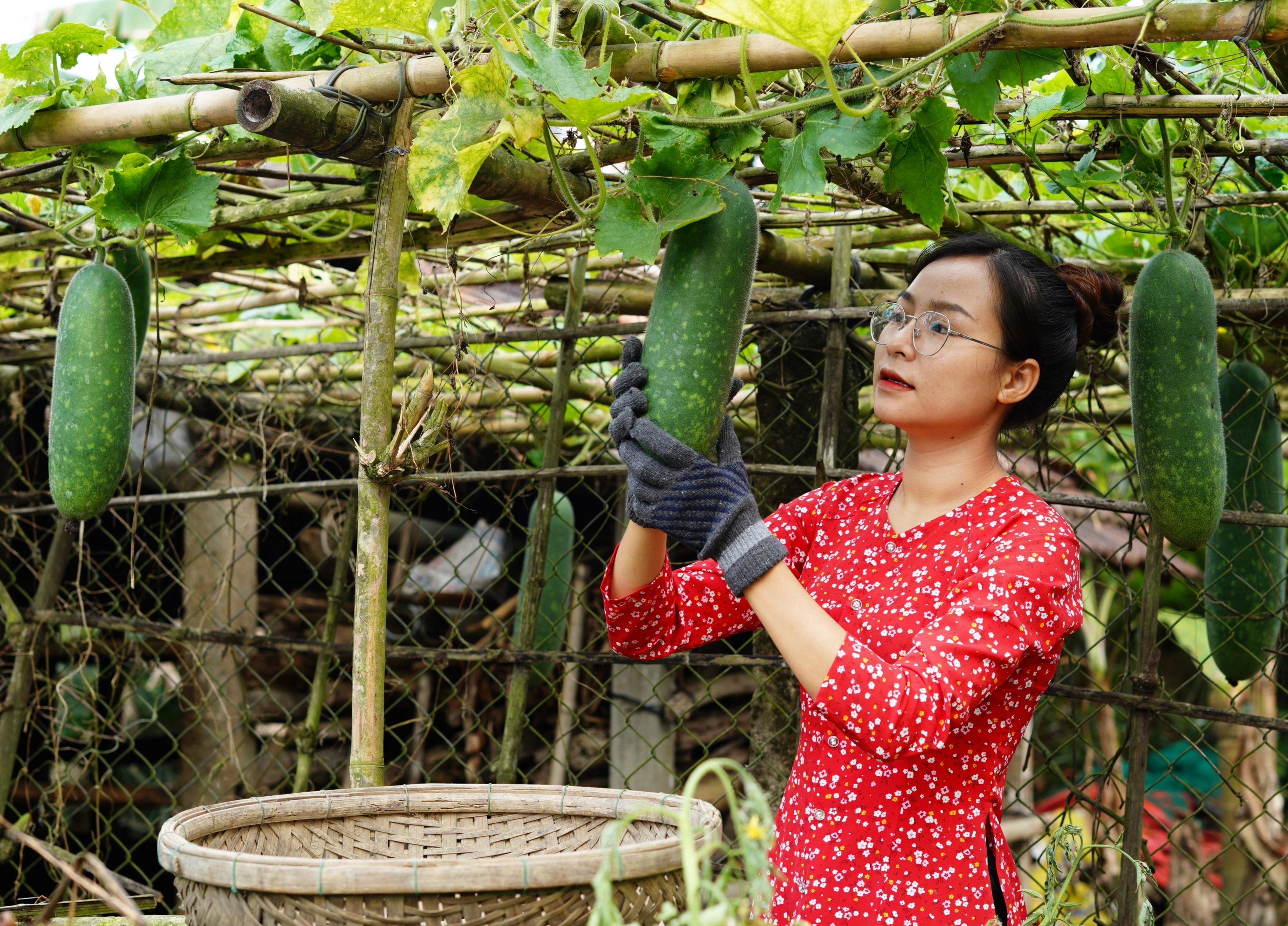 Thôn nữ xinh đẹp Quảng Nam &quot;đổi đời&quot; nhờ làm võng độc, lạ, lội bùn bắt cá - Ảnh 8.