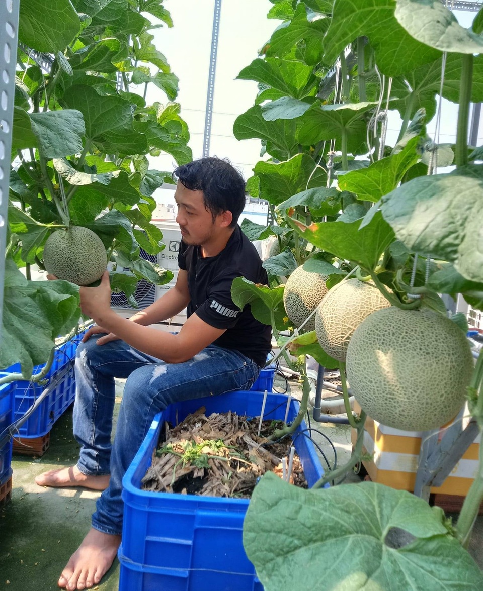 Cả gia đình ở Sài Gòn thỏa thích ăn trái cây nhờ khu vườn trên không - 8