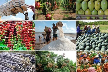 Bài 2: Tìm giải pháp gỡ “tắc nghẽn” trong chuỗi giá trị nông sản