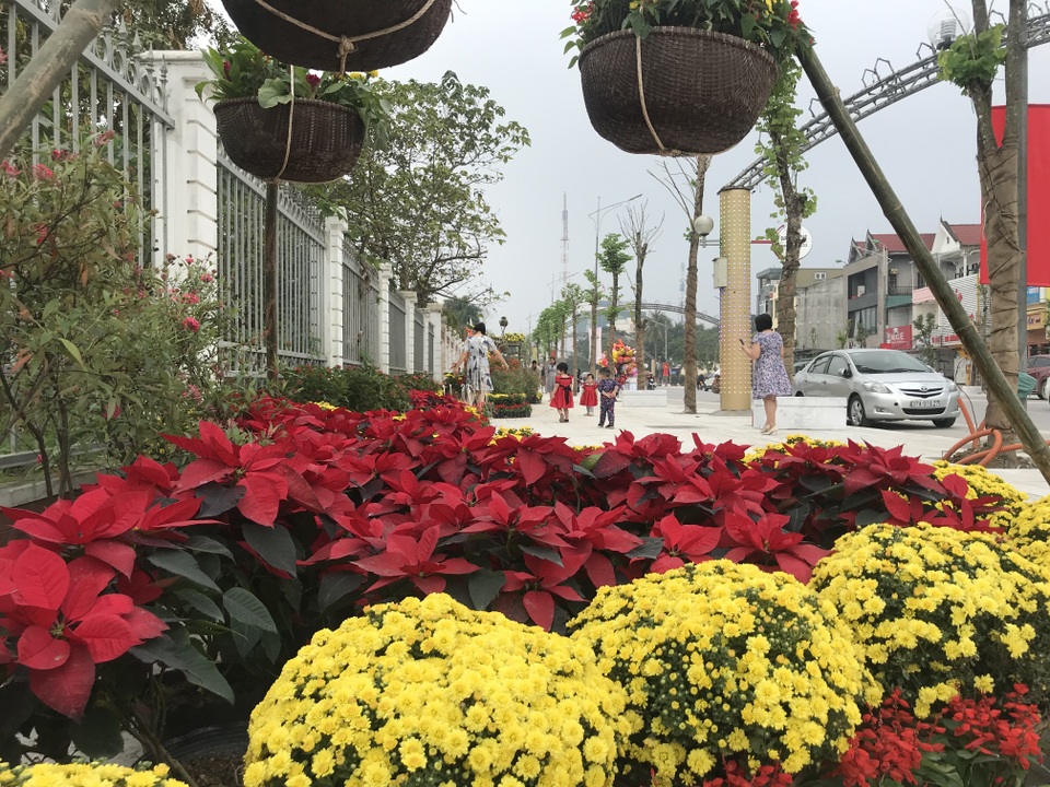 Ấn tượng những đường hoa rực rỡ sắc màu đón Tết ở thành Vinh  - 14