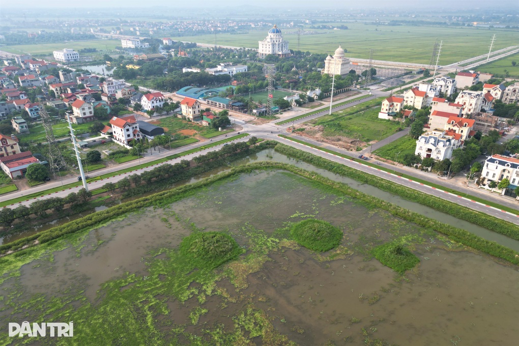 20ha đất vàng bị bỏ hoang, cỏ dại mọc um tùm ở Ninh Bình - 3 20ha đất vàng bị bỏ hoang, cỏ dại mọc um tùm ở Ninh Bình - 3