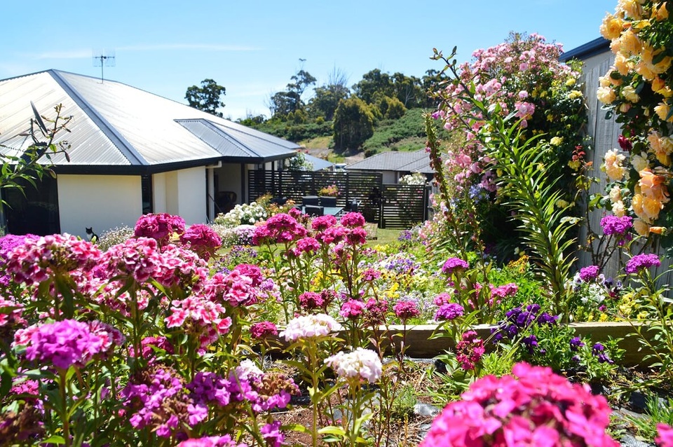 Khu vườn gần 50 loài hoa hồng khoe sắc quanh năm của mẹ Việt ở Úc - 5