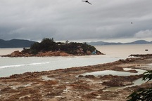 Chủ tịch Khánh Hòa lệnh kiểm tra dự án "nghi" lấp Vịnh Nha Trang