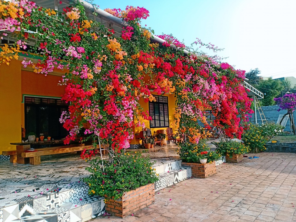 9X cất bằng kỹ sư, về quê làm vườn hoa rộng 2.000m2 ở Đắk Lắk - 2