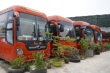 Hàng trăm xe khách tiền tỷ, taxi ở Hà Nội nằm "phơi sương" do dịch Covid-19