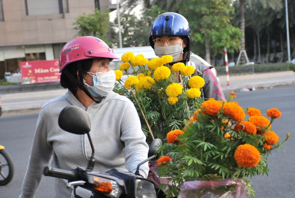 Người dân Cần Thơ hối hả đưa nàng xuân về nhà đón Tết - 6 Người dân Cần Thơ hối hả đưa nàng xuân về nhà đón Tết - 6
