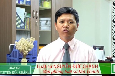 Luật sư phân tích hành vi phụ huynh ép cô giáo quỳ