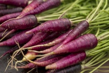 Lợi ích tuyệt vời của cà rốt tím nhưng ít người biết