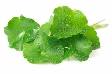 7 loại nước giải nhiệt mùa hè tốt cho sức khỏe