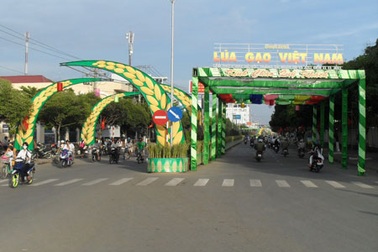 Nỗ lực cho ngày hội lúa gạo Việt Nam