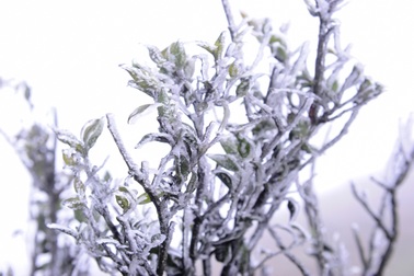 Rét đậm rét hại toàn miền Bắc, Hà Nội thấp nhất 5 độ C