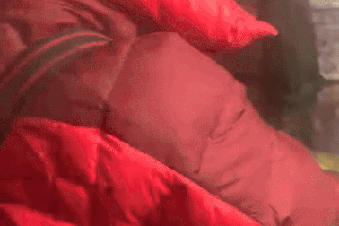 Lao động Việt mưu sinh trên biển băng, tay lạnh cóng phải nhúng nước sôi