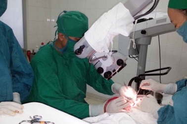 Yêu cầu kiểm điểm sai phạm Ban giám đốc BV Tai Mũi Họng TP HCM