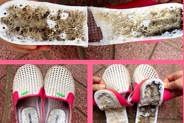 Điều tra dung dịch lạ trong dép Trung Quốc