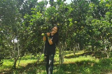 Bỏ nghề nail, người phụ nữ về quê mua đất làm vườn hữu cơ 6000m2 ở Đắk Lắk